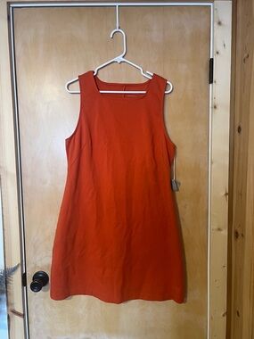 Everlane Sleeveless Orange Mini Shift Dress